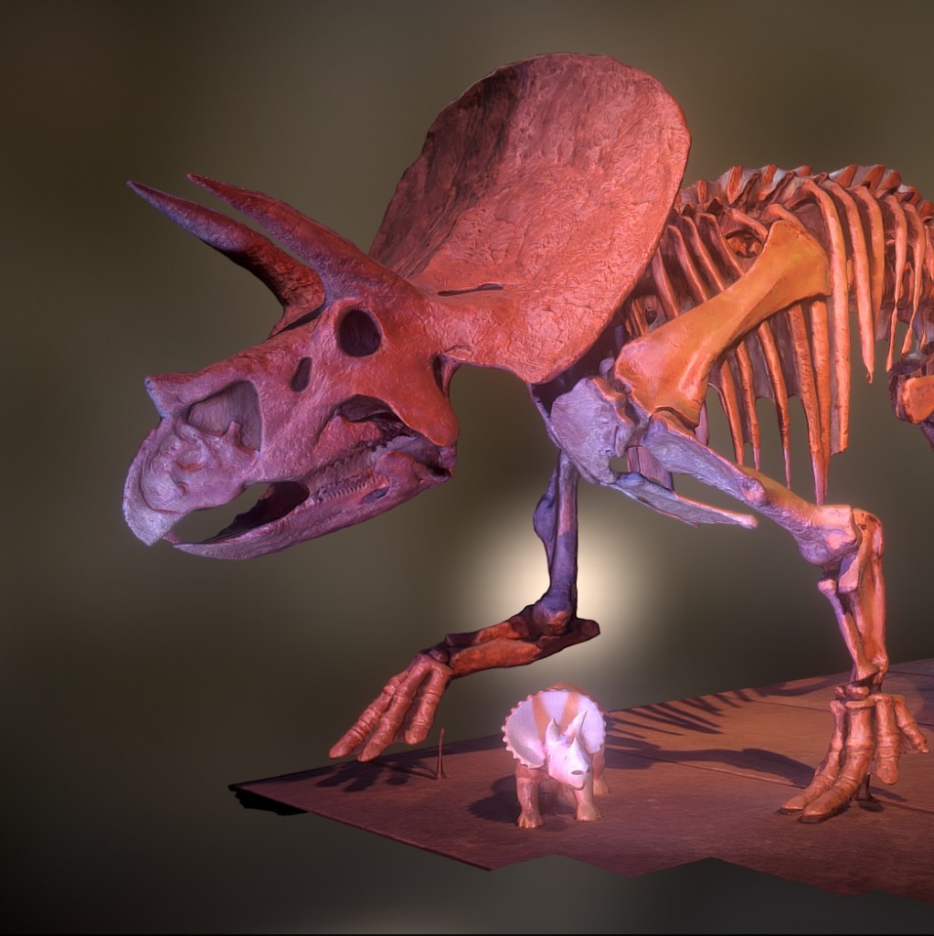 Triceratops preview image 1